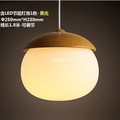 INPHIC-燈具北歐現代簡約日式餐廳臥室兒童房創意吧臺木紋堅果吊燈 B款