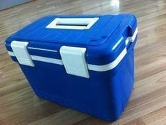 INPHIC-美觀大方實用保冰保溫箱11L適合家用戶外食品