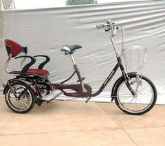 INPHIC-簡潔版大人座三輪車