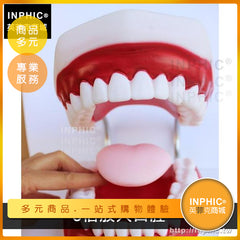 INPHIC-牙齒牙醫牙科演示構造牙齒模型口腔保健醫學模型刷牙教學-INFH017104A
