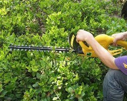 INPHIC-商用 營業 德國EINHELL漢斯安海電動綠籬機電動籬笆剪