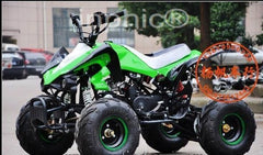 INPHIC-110CC沙灘車 小火星款沙灘車 無極變速沙灘車