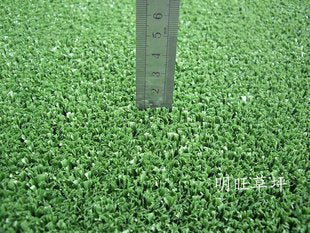 INPHIC-人造草皮 人造草坪 仿真草坪 人工草坪地毯 籃球 網球 假草坪