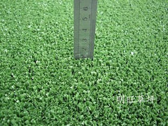 INPHIC-人造草皮 人造草坪 仿真草坪 人工草坪地毯 籃球 網球 假草坪