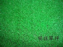 INPHIC-人造草坪 草皮 草坪 仿真草皮 地毯 幼兒園 塑膠草坪 人工草每平方米價