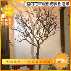 INPHIC-枯樹枝裝飾 室內樹枝擺飾 乾燥木枯木造景擺飾 枯山水造景-BJB002104A