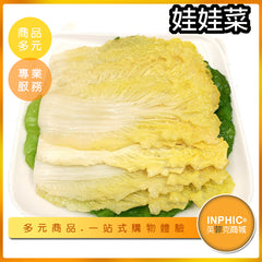INPHIC-娃娃菜模型 台灣娃娃菜 火鍋菜盤 蔬菜-MFK037104B