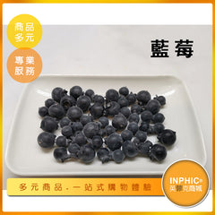 INPHIC-藍莓模型 莓果 新鮮藍莓 水果-MFP042104B