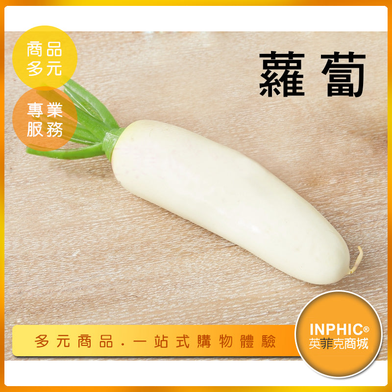 INPHIC-蘿蔔模型 紅蘿蔔 白蘿蔔 胡蘿蔔 根莖類蔬菜-MFP057104B