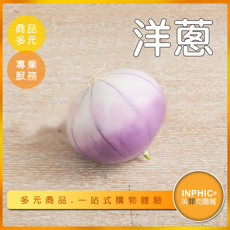 INPHIC-洋蔥模型 蔥蒜 根莖類蔬菜 蔬果-MFP066104B