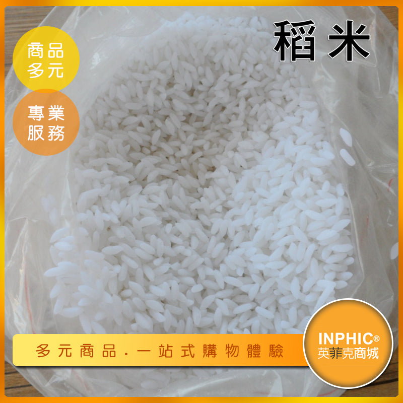 INPHIC-稻米模型 稻 稻穗 米-MFP006104B