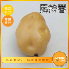 INPHIC-馬鈴薯模型 馬鈴薯泥 根莖類蔬菜 馬鈴薯泥-MFP033104B
