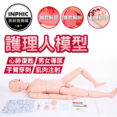 INPHIC-假人模型 多功能人體模型 醫療假人模型-INFH02010BA