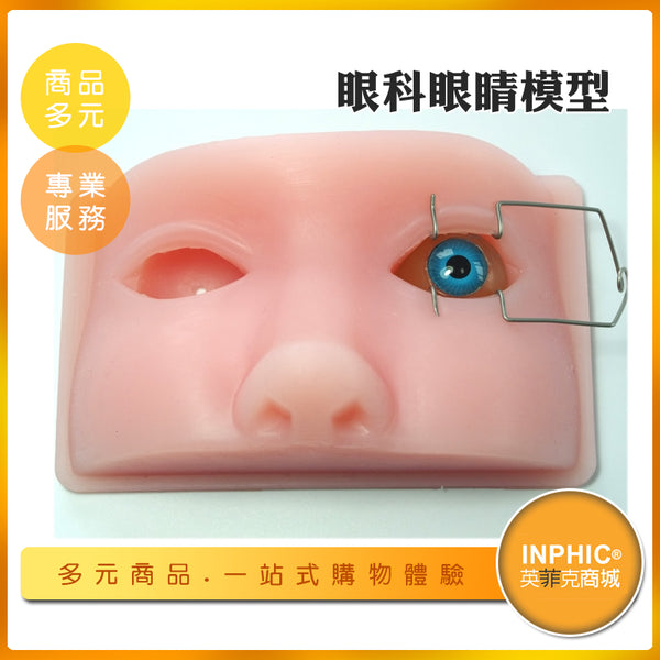 机太郎 ドライラボ模型 白内障手術練習用模擬眼 眼科手技模型 楽天市場】机太郎 ドライラボ模型 白内障手術練習用模擬眼 眼科手技